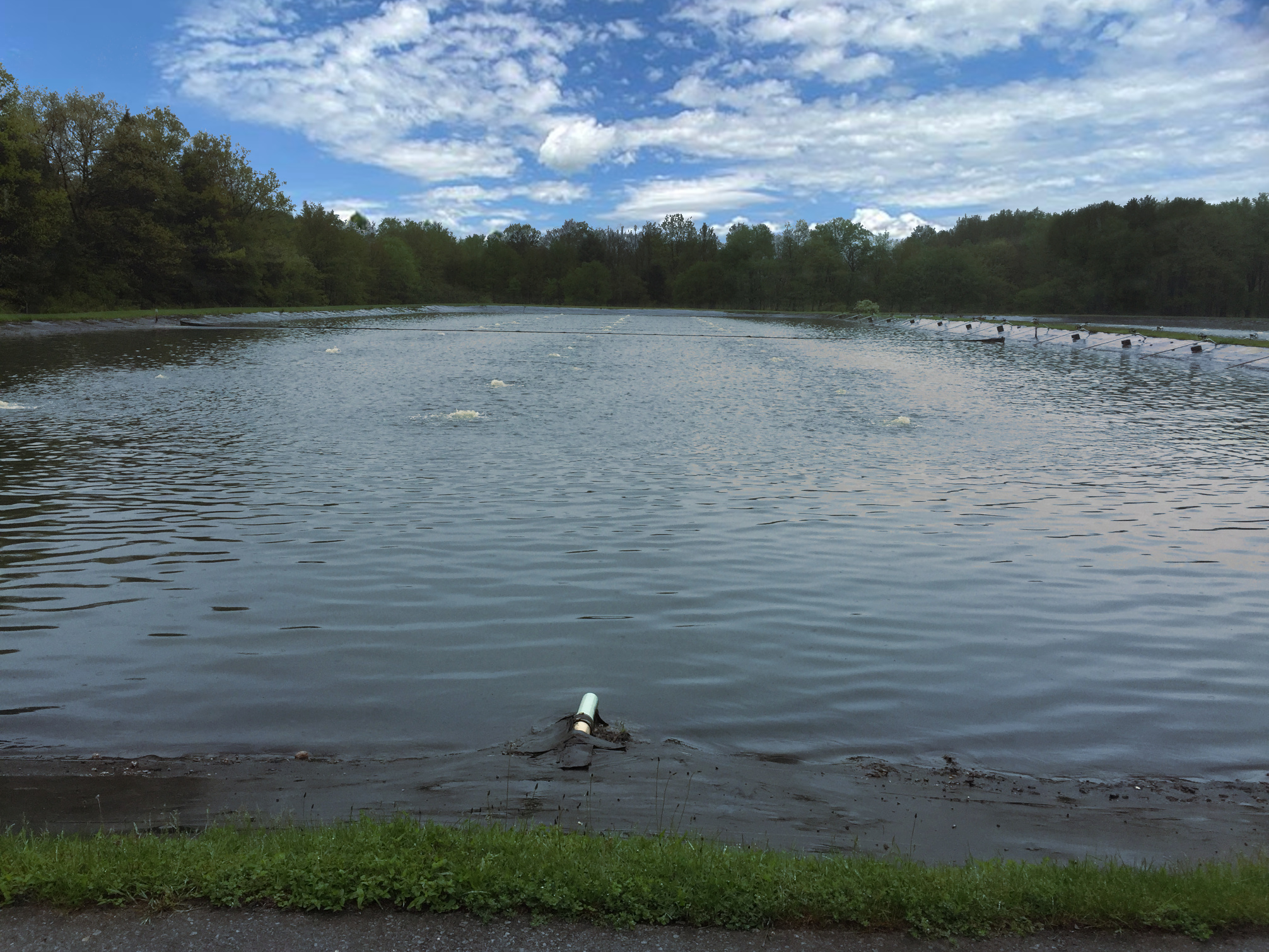 Treatment Ponds and Lagoons